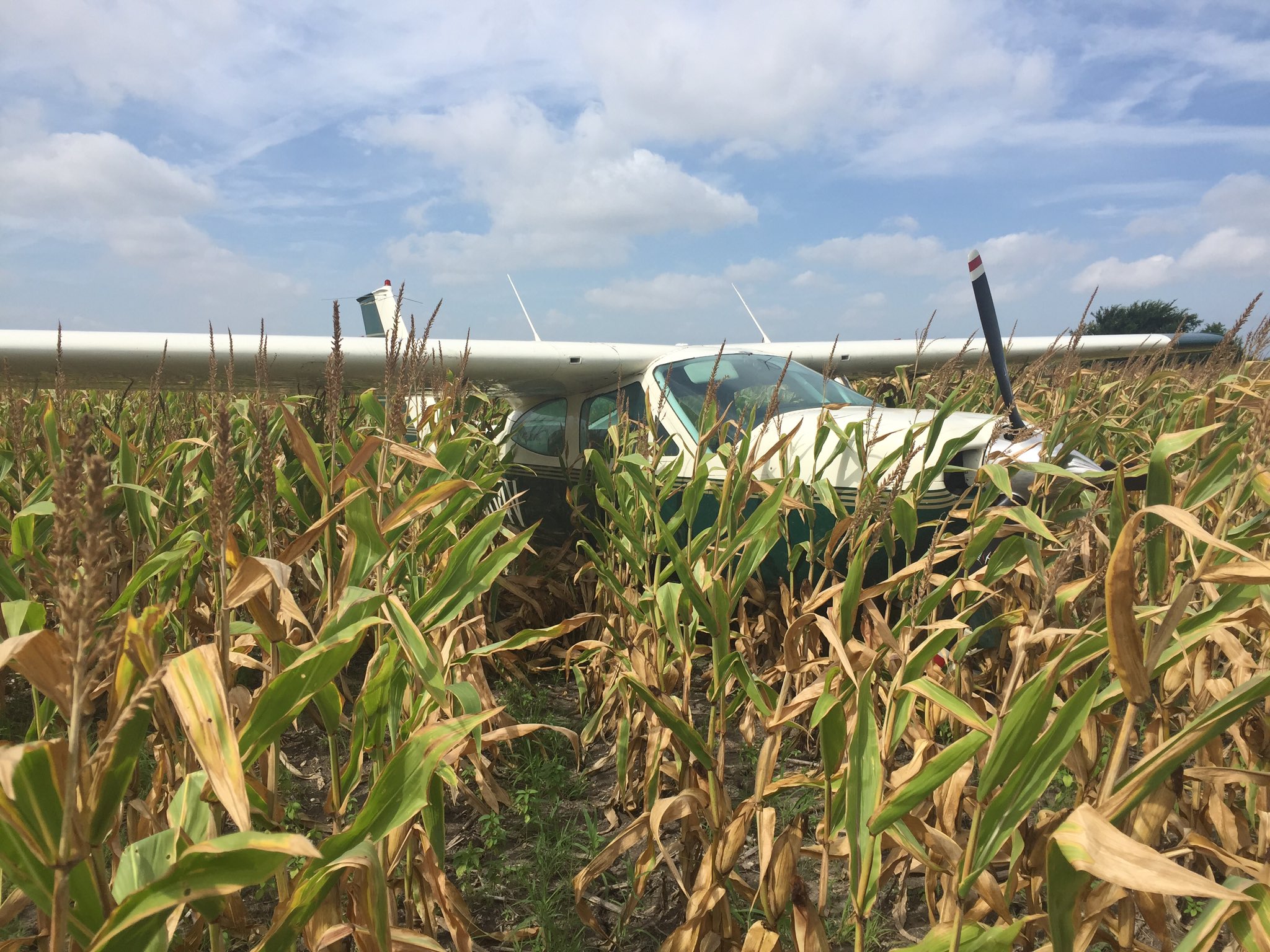 Small plane lands in Pflugerville corn field
