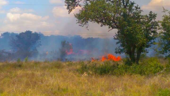 Crews Battle 5 Acre Brush Fire Off Of Sh 45 2428