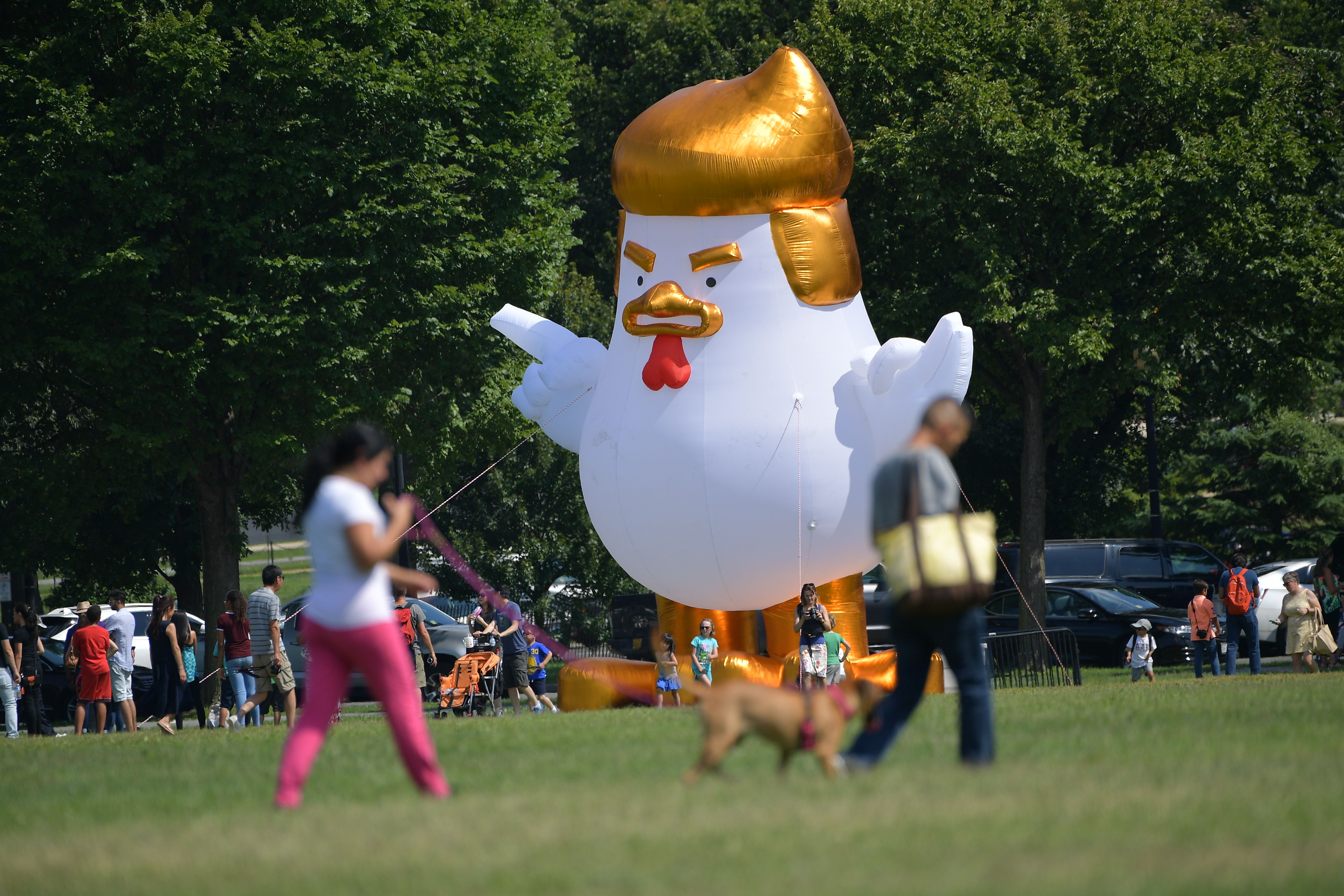 Giant chicken balloon with Trump-like hair seen near White House