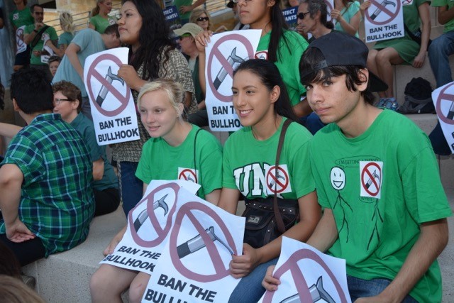 City council bans use of bullhooks on elephants | kvue.com