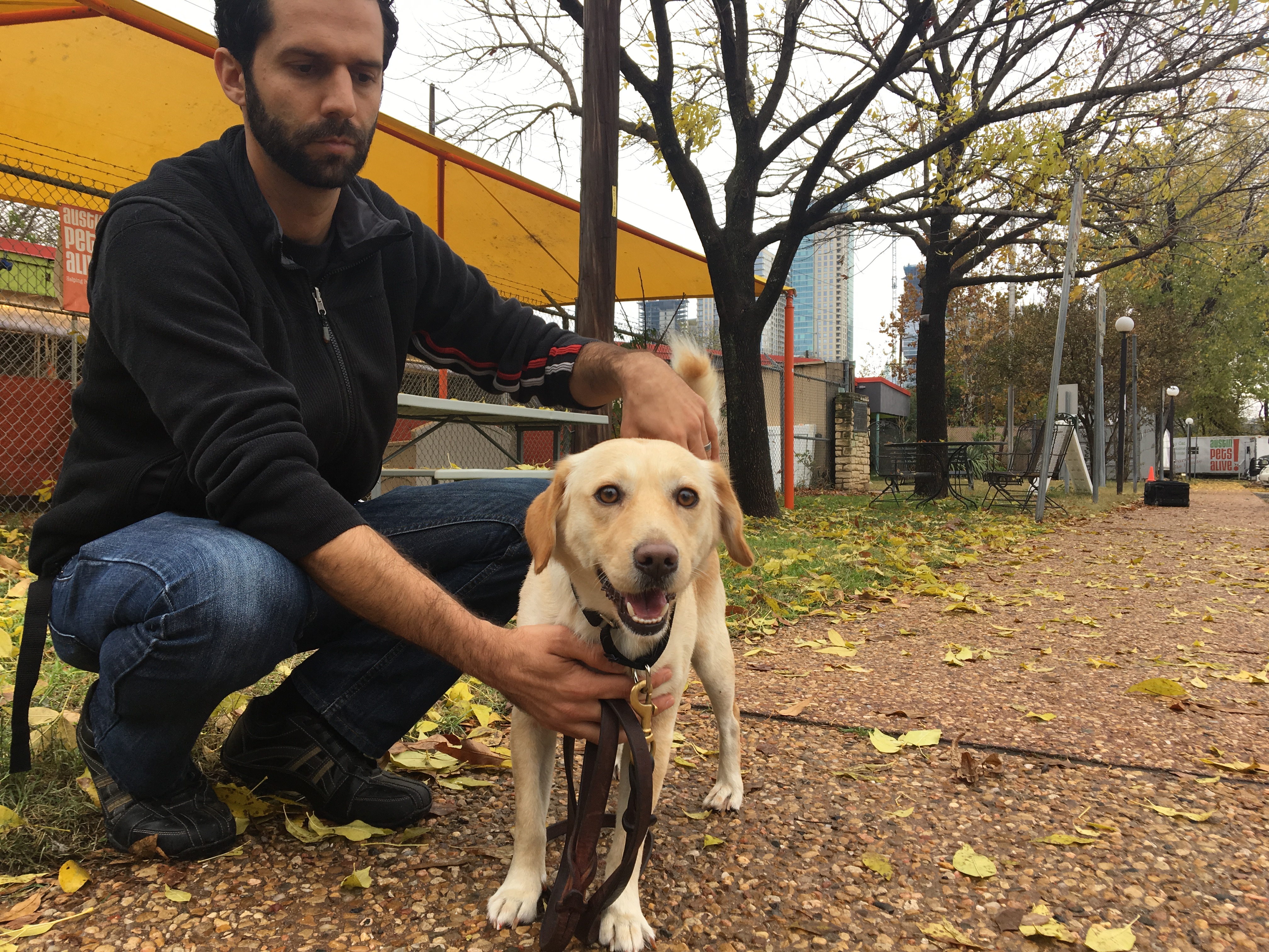 Dog saved from execution has new home at Austin shelter | cbs8.com